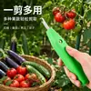 Herramienta especial para recolectar granos de pimienta, utilizada para cortar granos de pimienta, frutas, arándanos, cerezas, cebollín chino, uvas, fresas y lichis. Al por mayor