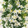 Ratán de Flor Simulada, Cesta Colgante de Pared de Flor Artificial, Decoración de Boda para Techo Interior Fabricante Produce Lirio Violeta Simulado