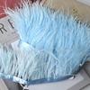 Tira de Tela de Plumas 10-13cm Borde de Tela de Pluma de Avestruz Material de Decoración para Vestido Falda de Baile Latino Cinturón de Tela Accesorios de Ropa