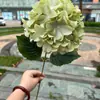 Fabricante de Flores Artificiais para Casamento Verde Hortênsia Verde Rosa Orvalho da Andorinha Lótus Bola de Cebola Decoração Suave para Casamento Flor Artificial Atacado