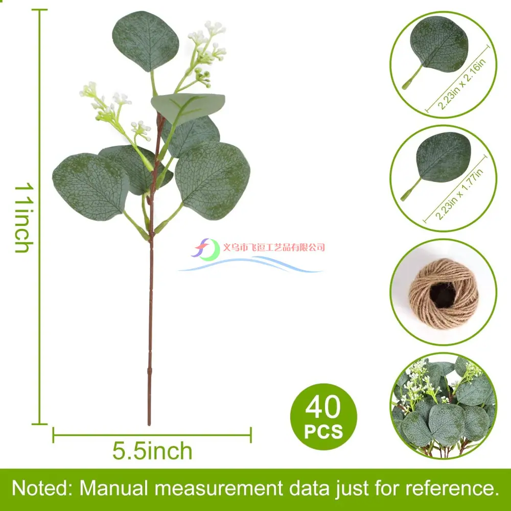 主图_Eucalyptus_Leaf_and_Seeds_0