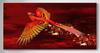 Pintura em Tela Mural Poster Arte de Parede Dragão e Fênix Animal Pássaro Nórdico China Quarto Sala de Estar Pintura Decorativa Moderna