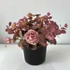 Burbuja Rosa Manzanilla Bonsái Pequeño Fresco Decoración de Sala de Estar Amazon Transfronterizo Seda Flor Eterna Eucalipto