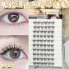 Livro de Cílios Viscose Transparente Cauda de Andorinha Cor Areia de Grande Capacidade com Raízes Transparentes e Cílios de Luz Natural para Olhos Brilhantes