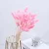 Atacado de fábrica de Yunnan buquê de flores secas de capim-rabo-de-coelho flores eternas estilo Ins DIY arranjo de flores oferta especial da fábrica de capim-rabo-de-coelho
