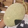 Melón de Hainan, Fruta Fresca con Pulpa Jugosa, Crujiente y Dulce, Empacado en Cajas de Colores, Disponible para Distribución Piezas de 4-5 / 4-4.5 kg