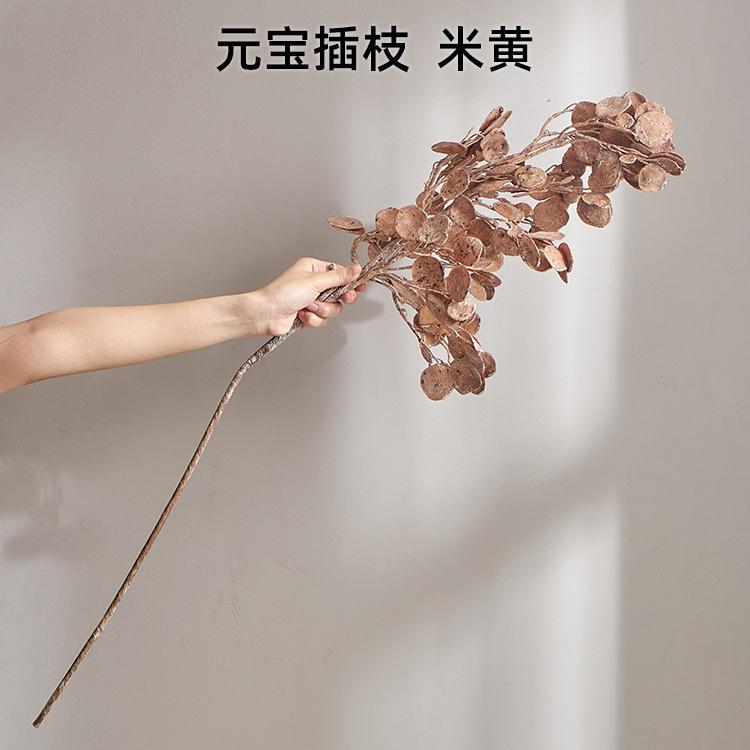 元宝插枝  米黄