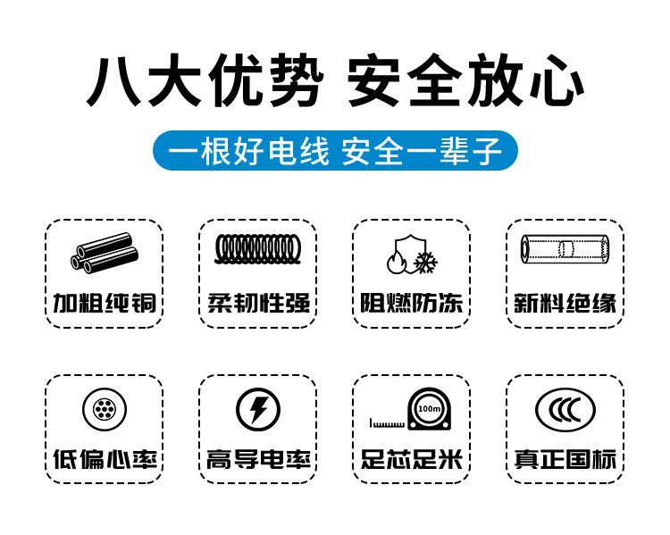 2.八大优势-安全放心.jpg