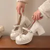 Sapatos de Salto Alto Femininos Estilo Fada Francesa Suave 2026 Outono Novo Estilo Não Cansam os Pés Salto Bloco Mary Jane Ballet Sapatos Pequenos de Couro