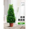 Jasmim Africano Planta Verde de Interior Jasmim Cabeça de Tigre em Vaso Grande Além de Formaldeído Casa Nova Casa Casa Presente de Inauguração Casa Nova Flor Real