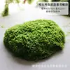 Bloques de musgo artificial, bloques de musgo de piedra, césped artificial, césped falso, micro paisajismo de suculentas DIY, adornos de musgo para decoración suave