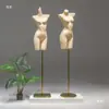 Mannequins de Meia-Corpo Masculino e Feminino para Exposição de Lingerie, Rack para Vitrine de Loja de Lingerie, Manequim, Rack para Exposição de Maiôs e Sutiãs, Modelo de Prateleira