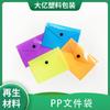 Pasta a4 com botão de pressão pp bolsa material escolar material de escritório bolsa de papelaria pasta plástica transparente para armazenamento de arquivos fabricantes