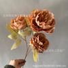 3 flores de peonía salón de bodas camino de entrada ramo de peonías red social disparo fondo suave accesorios