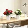 Venta Directa de Fábrica de 5 Arreglos Florales Artificiales de Claveles, Regalo para el Día de la Madre, Maceta Artificial Creativa para Sala de Estar y Mesa de Comedor
