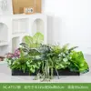 Combinação de Paisagismo com Plantas Verdes Simuladas Hc-At7, Flores Simuladas e Decorações de Flores Artificiais, Ornamentos Decorativos para Floreiras de Pátio Externo
