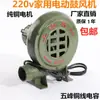 Soplador Doméstico con Velocidad Ajustable para Estufas, Soplador Potenciador de Combustión Pequeño, Soplador para Barbacoa, Doméstico 220V