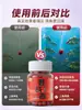 Cebo en Pellets para Pesca Salvaje, Cebo en Pellets Perezoso para Carpa Crucian, Carpa, Carpa Herbívora, Cebo para Pesca en Pozos Negros, Alimento para Peces
