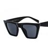 Gafas de sol Jamie 6881 Estilo Callejero Europeo y Americano Ojo de Gato Personalidad Montura Grande para Mujer, Montura Transparente Colorida Moda Tendencia Gafas de Sol para Hombre