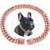 Acessórios para Pets Colar Gato Ragdoll Coleira para Cachorro Coleira Tag de Cachorro com Strass Corrente Cubana Metal Gato Colar com Strass