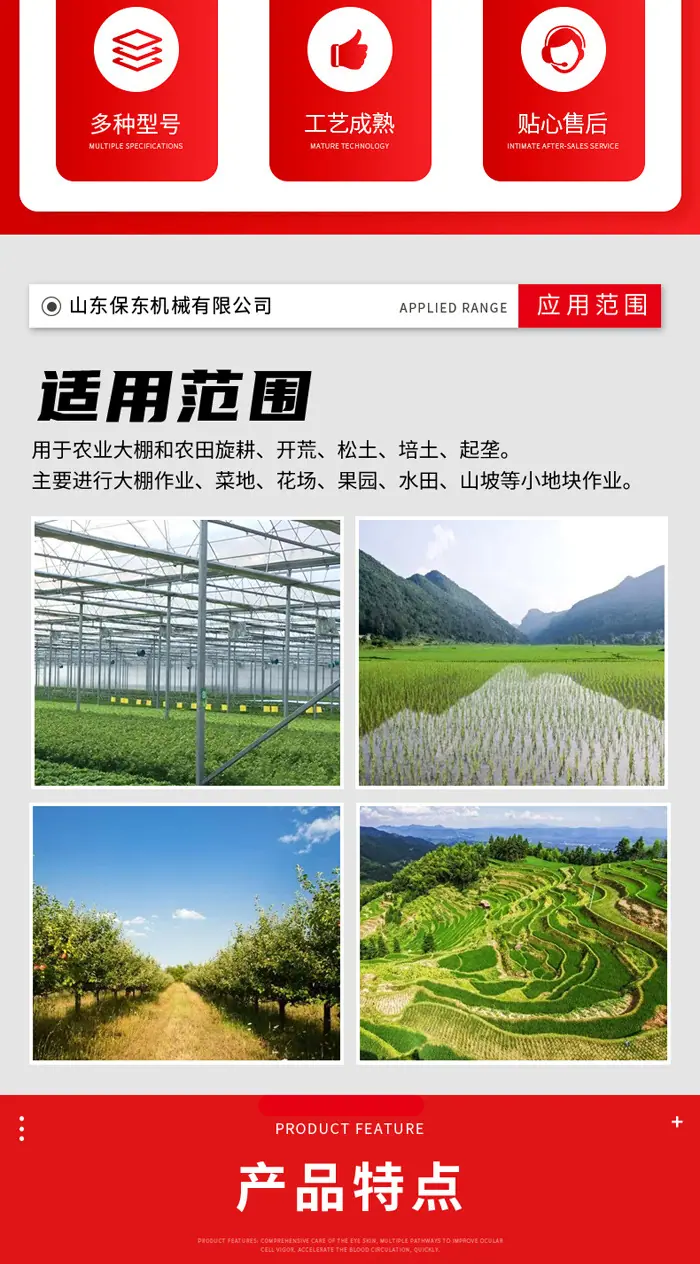第一个_04.jpg
