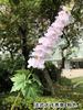 Delphinium grande de imitación blanca, delphinium grande francés, comercio exterior, violeta grande, boda, flores artificiales suaves al por mayor