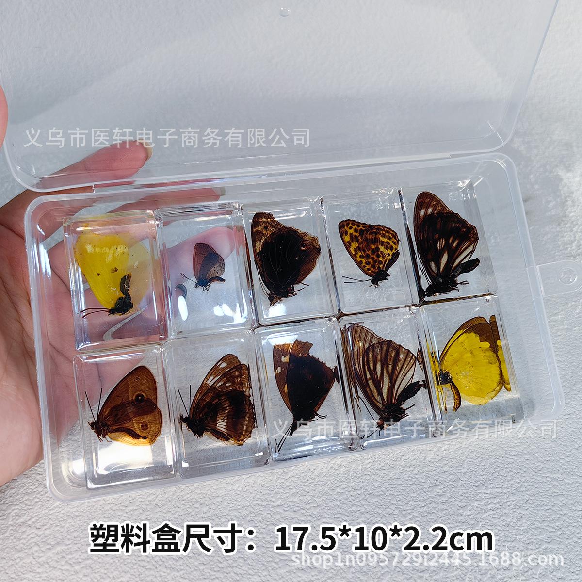10框随机.jpg