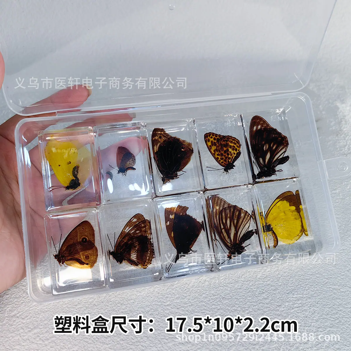 10框随机.jpg