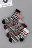 Nuevos Calcetines de Algodón Puro con Letras Ins Marca de Moda Femenina Populares Populares Calcetines de Media Pantorrilla Calcetines de Media Pantorrilla