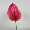 Simulação de fornecimento transfronteiriço flor artificial palma vermelha única flor seca para casa casamento atacado roupa macia fotografia adereços de celebridade online