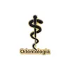 Broche de serie médica transfronteriza nuevo personalidad creativa dibujos animados dentista doctor enfermera traje de diente insignia venta al por mayor