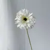 Gerbera Simulada de Rama Única Cepillada Decoración del Hogar Gerbera Blanca Simulada Venta al por Mayor Transfronteriza Flores para Bodas