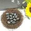 Cristal Natural Transfronterizo Mini 2cm Adornos de Huevo de Pájaro Ágata Jade Huevo de Mineral de Amoy Decoración de Huevo de Pascua