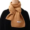 Comercio exterior nuevo estilo bufanda de lana tejida de color liso otoño e invierno nueva versátil para estudiante pareja cálida bufanda larga venta al por mayor