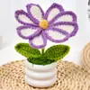 Flor de Lana Hecha a Mano Girasol Terminado Flor Artificial en Maceta Regalo Rosa Flor Falsa Adornos de Flores Tejidas Exportación Transfronteriza