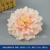 Flor artificial color champaña flor rosa estilo europeo ramo DIY ramo de novia caja de flores flor decorativa tocado accesorios de fotografía