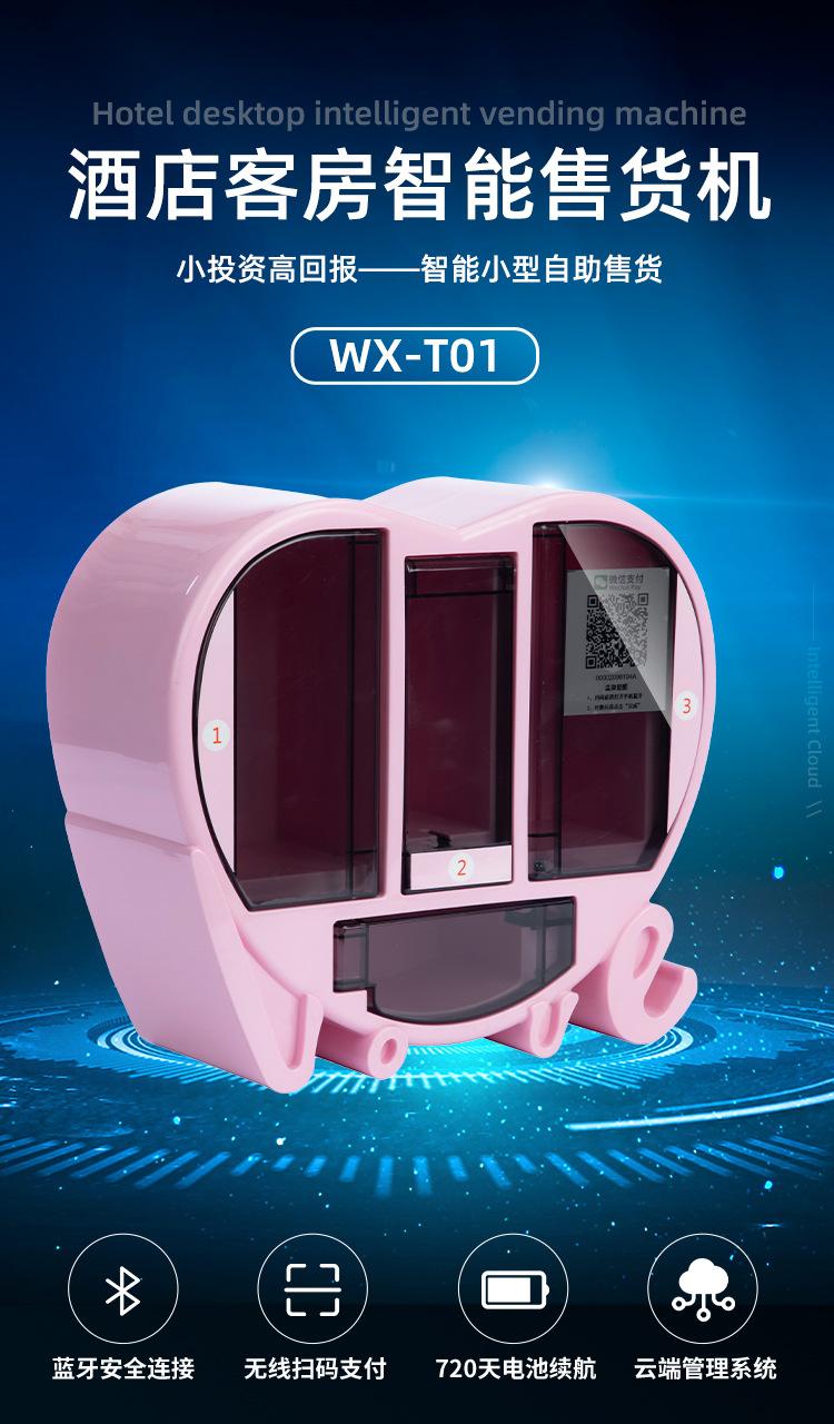 WX-T01_02