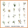 Adesivos de plantas e flores PET para journaling, materiais decorativos para cenários DIY feitos à mão, adesivos de journaling transparentes autoadesivos