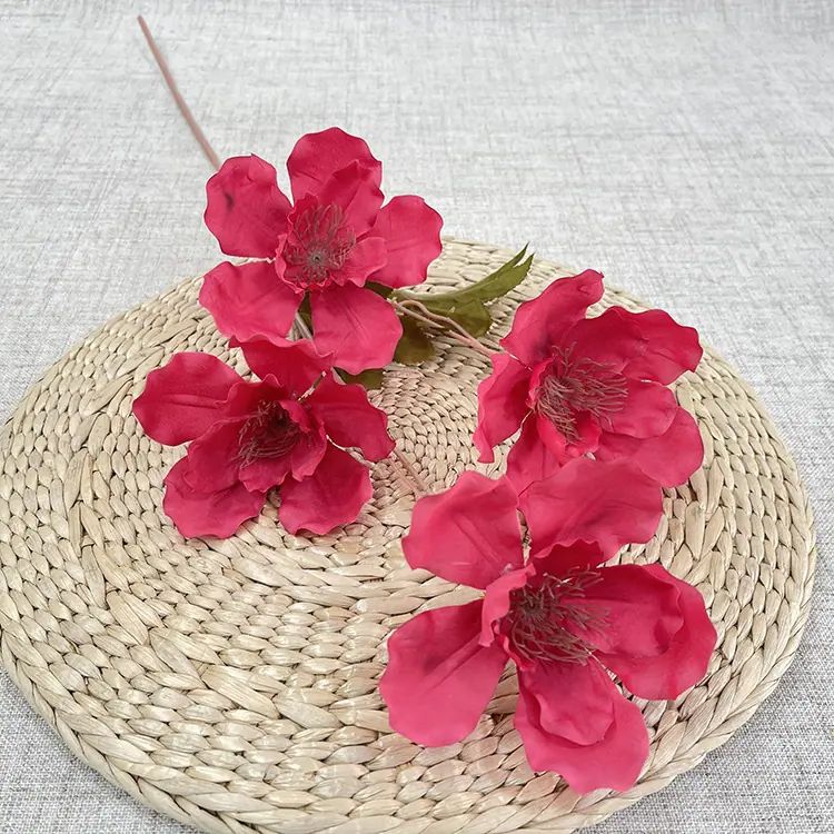 4头大芙蓉花-玫红.JPG