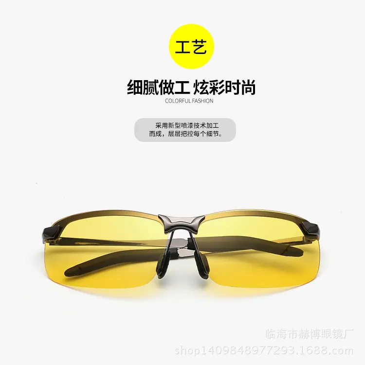 3043 太阳镜