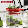 Mini Aquário Transparente com Luz e Tampa Plástico Resistente a Quedas Tanque para Peixe Dourado Sala de Estar Mesa de Escritório Casa Escritório Aquário Imitação de Vidro