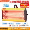 Lámpara de curado de pintura de luz roja de mano Gude Calentamiento de onda corta infrarroja Belleza del automóvil Lámpara de secado a alta temperatura Pintura de secado rápido