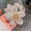 Corea Sentido Avanzado Cabello Flor 2022 Nuevo Tocado Femenino Marubeni Adornos para el Cabello Diadema Femenina Elegante Cuerda para el Cabello Cuerda para el Cabello