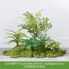 Planta Artificial Empilhada para Paisagismo Sob Escada, Samambaia & Pteri