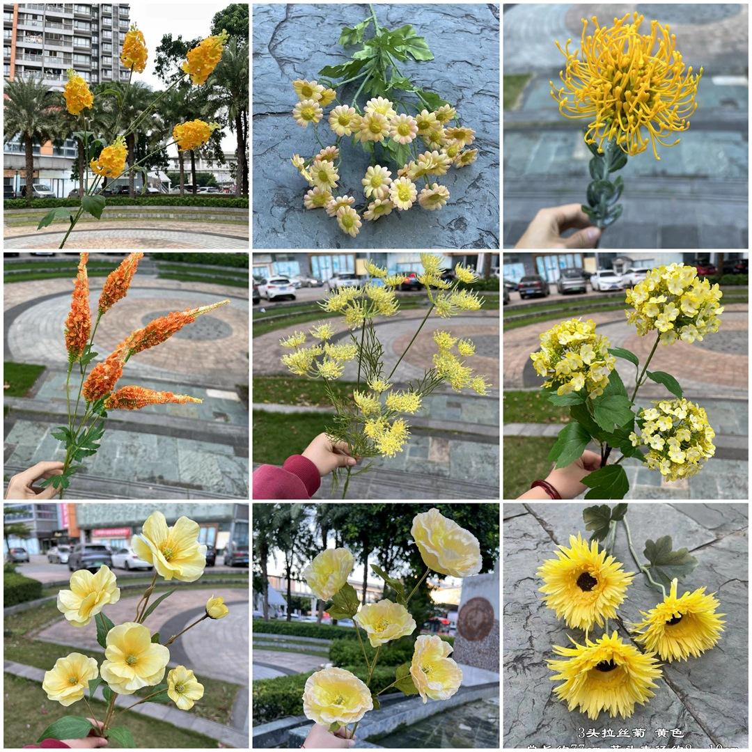 微信图片_20240707135449