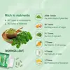 En Stock Popular Transfronterizo Suministro Cápsulas de Moringa 60 Cápsulas Soporte Marca OEM/E