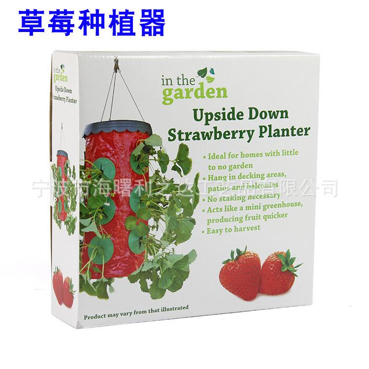 4456519838_1957707933