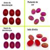 Atacado do Fabricante Anel que Muda de Cor Pedra que Muda de Cor com a Temperatura da Superfície Cristal que Muda de Cor Esfregado à Mão Pedra que Muda de Cor Acessórios de Joias para Pulseira DIY