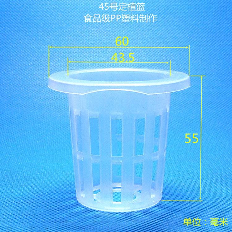45号无标750