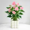 Planta en Maceta de Anturio con Flores, Planta de Interior para Escritorio de Oficina, Planta Verde para Sala de Estar, Purifica el Aire, Bonsái Fácil de Mantener